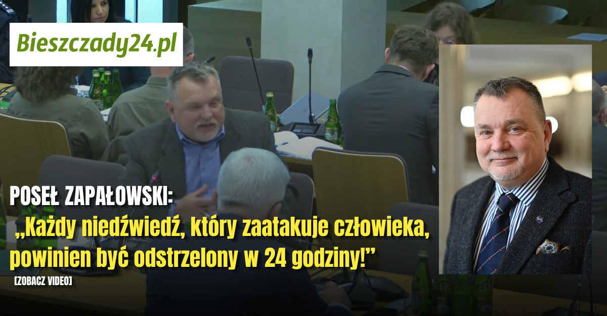 POSEŁ ZAPAŁOWSKI: „Każdy niedźwiedź, który zaatakuje człowieka, powinien być odstrzelony w 24 godziny!”