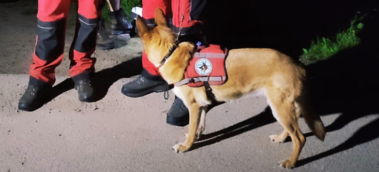 Pies odnalazł zwłoki 46-latka. W akcji poszukiwawczej uczestniczyli strażacy z Niebieszczan (ZDJĘCIA)