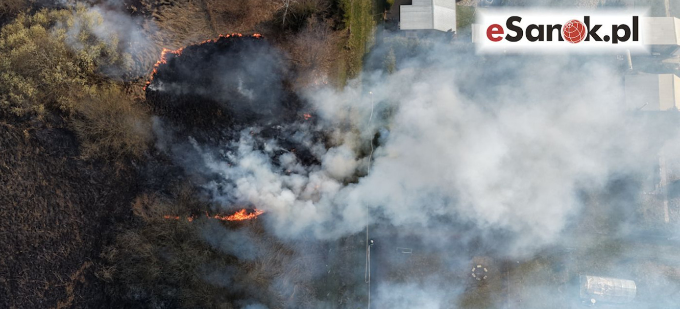 SANOK: Groźny pożar przy ul. Gajowej! Ogień o krok od ogródków działkowych [VIDEO, ZDJĘCIA Z LOTU PTAKA]