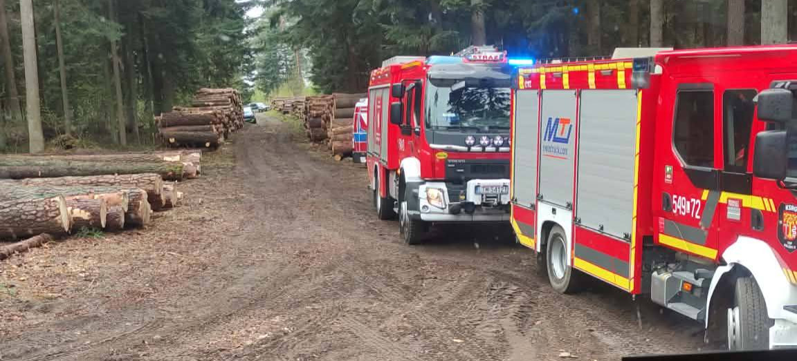 Tragedia podczas wycinki lasu. 43-latek zginął przygnieciony przez spadający konar