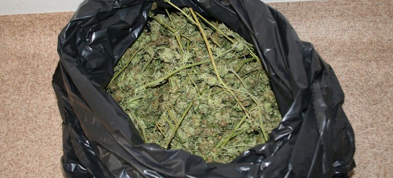 Policjanci zabezpieczyli ponad 7 kg narkotyków (ZDJĘCIA)