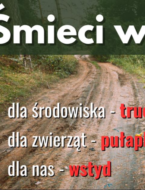 Zwierzęta nie śmiecą. Ludzie – tak. Dlaczego odpady w lesie to śmiertelne zagrożenie?