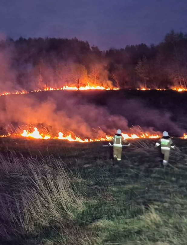 Nocna akcja strażaków w Krzemiennej. Płonęły nieużytki rolne [ZDJĘCIA]