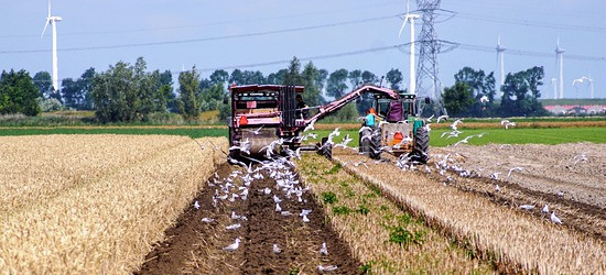 Wsparcie państwa dla rolników z Podkarpacia