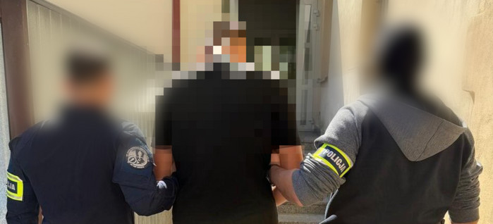 Miał przewozić 11 migrantów. Zatrzymali go rzeszowscy policjanci