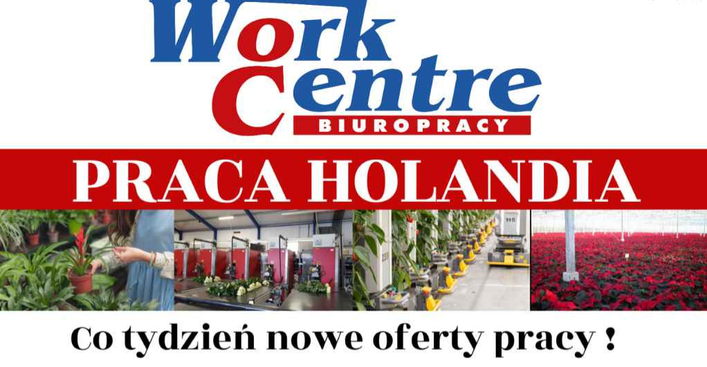 Legalna praca w Holandii na wyciągnięcie ręki