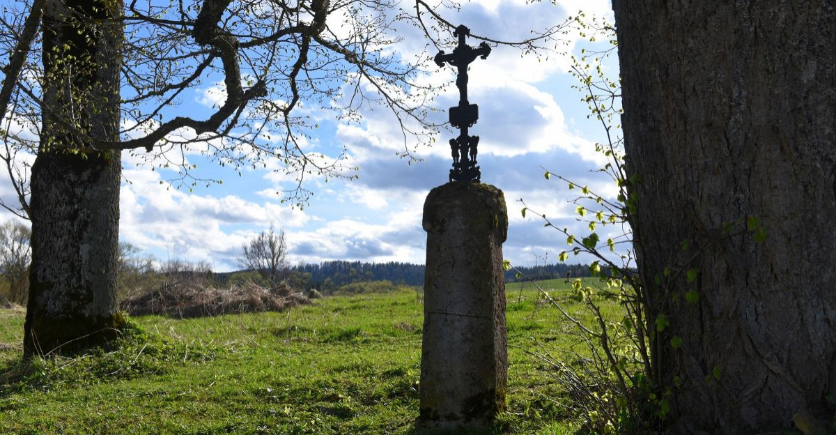 BIESZCZADY: Stare lipy i samotne krzyże przydrożne to niemi świadkowie historii [ZDJĘCIA]