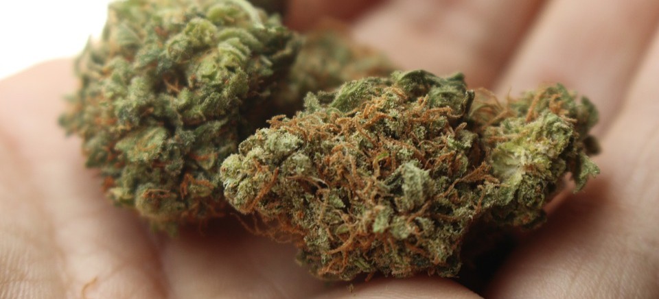 RZESZÓW:  Policja zatrzymała mężczyznę za posiadanie narkotyków