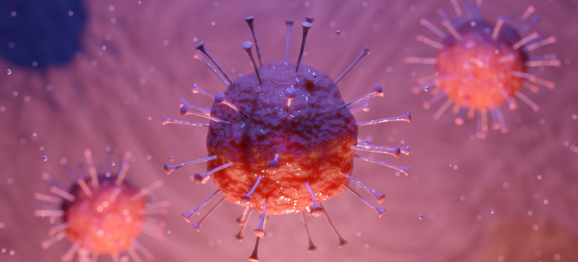 5 nowych przypadków zakażenia koronawirusem na Podkarpaciu