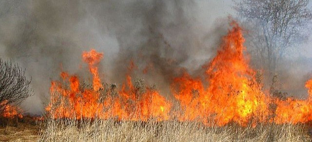 78-latka rozpaliła ognisko i wznieciła pożar łąki!