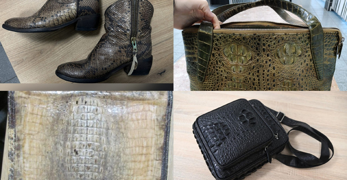 PODKARPACIE: Nielegalne wyroby ze skór chronionych zwierząt zatrzymane na granicy