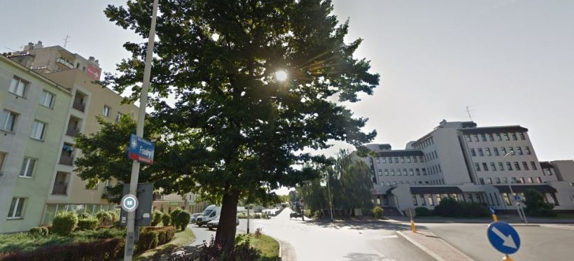 Rzeszowski Dąb Fredry w finale konkursu Drzewo Roku 2021