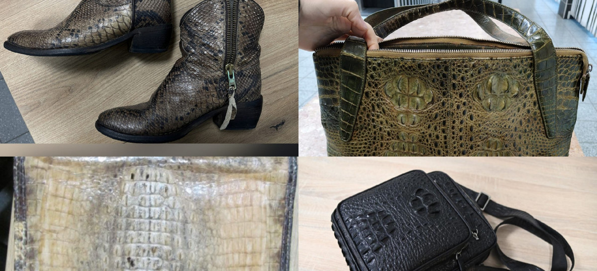 PODKARPACIE: Nielegalne wyroby ze skór chronionych zwierząt zatrzymane na granicy