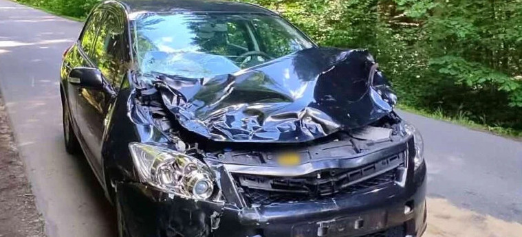 MRZYGŁÓD. Toyota zderzyła się z jeleniem. Uważajmy na dzikie zwierzęta na drodze!