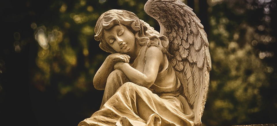 Wstępne podsumowanie kwesty na cmentarzach w regionie