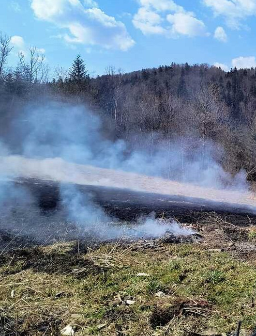 BYSTRE: Policjanci ugasili pożar łąki. Ogień zagrażał zabudowaniom [ZDJĘCIA]