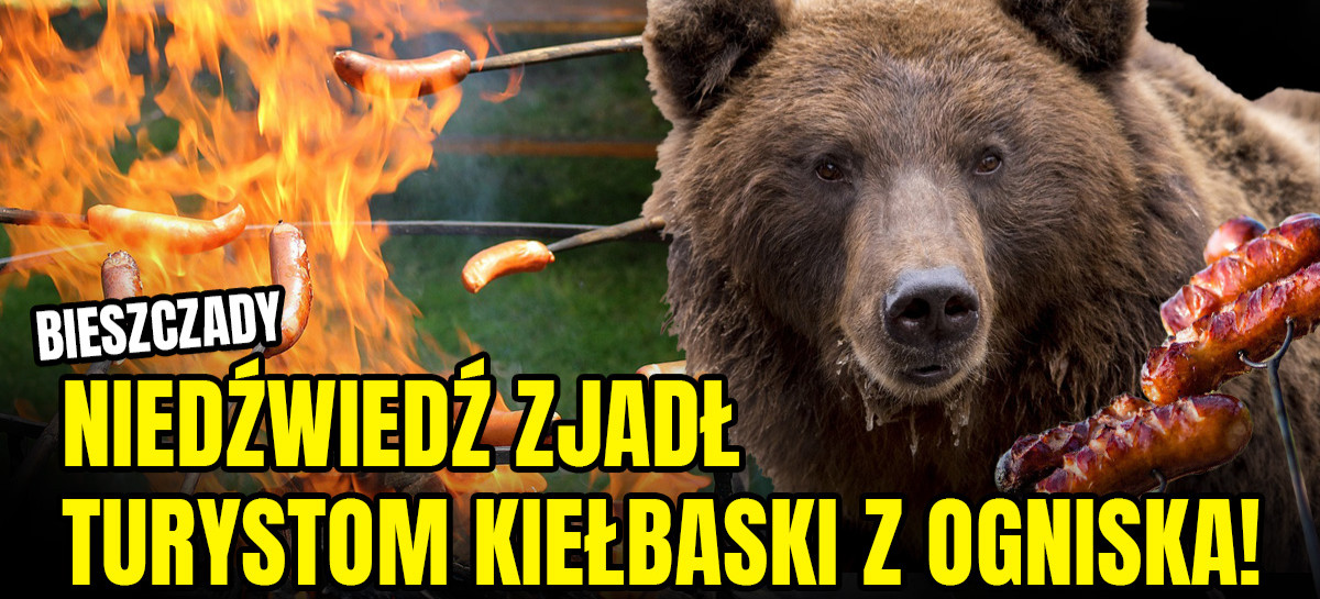 BIESZCZADY. Niedźwiedź zjadł kiełbaski z ogniska. Turyści uciekali (VIDEO, ZDJĘCIA)
