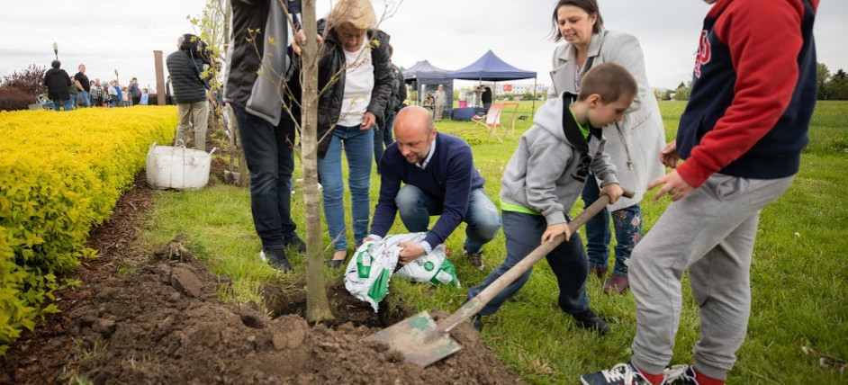 Konrad Fijołek z akcją sadzenia drzew w Parku Papieskim (FOTO)