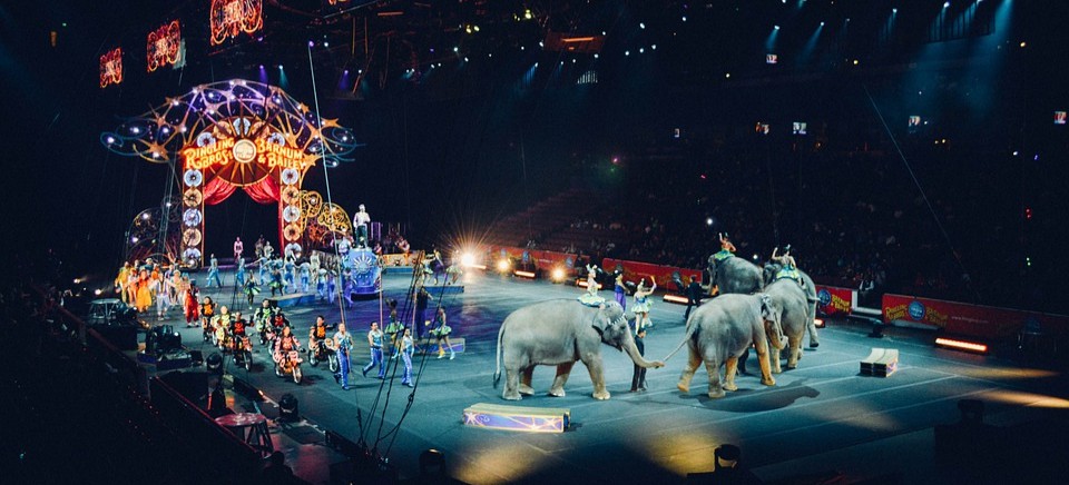 NIEDZIELA: Do Rzeszowa przyjedzie Cyrk Arena
