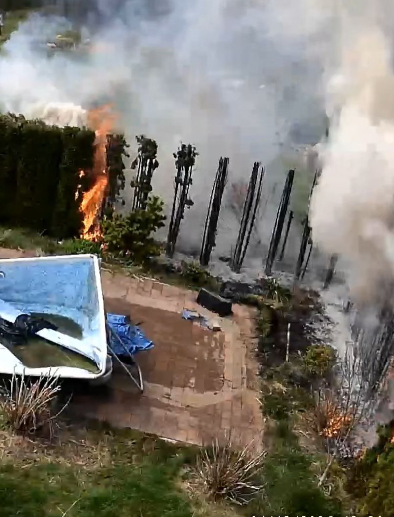 Sąsiedzki dramat z ogniem w tle. 57-latek podpalił tuje sąsiada palnikiem! [VIDEO]