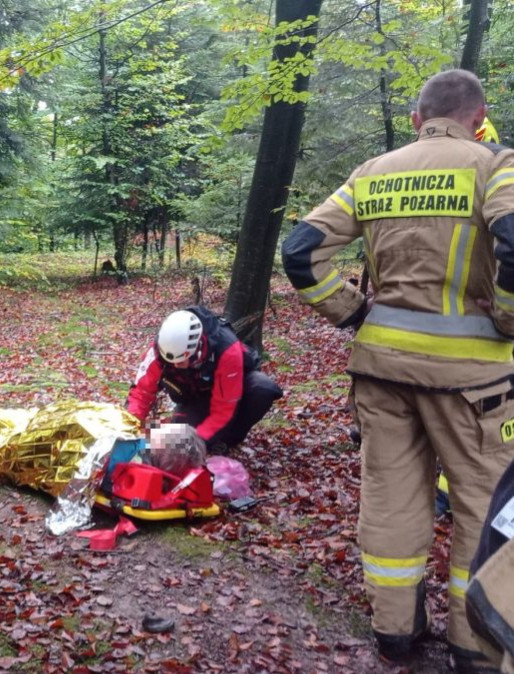 Problemy grzybiarzy. Potrzebowali pomocy (ZDJĘCIA)