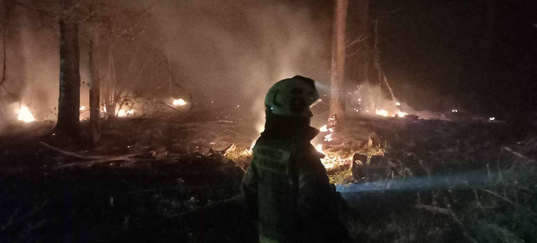 POŻAR LASU W LEŚNICTWIE DOBRA: Nocna walka z żywiołem. W akcji drony i quady [VIDEO, ZDJĘCIA]