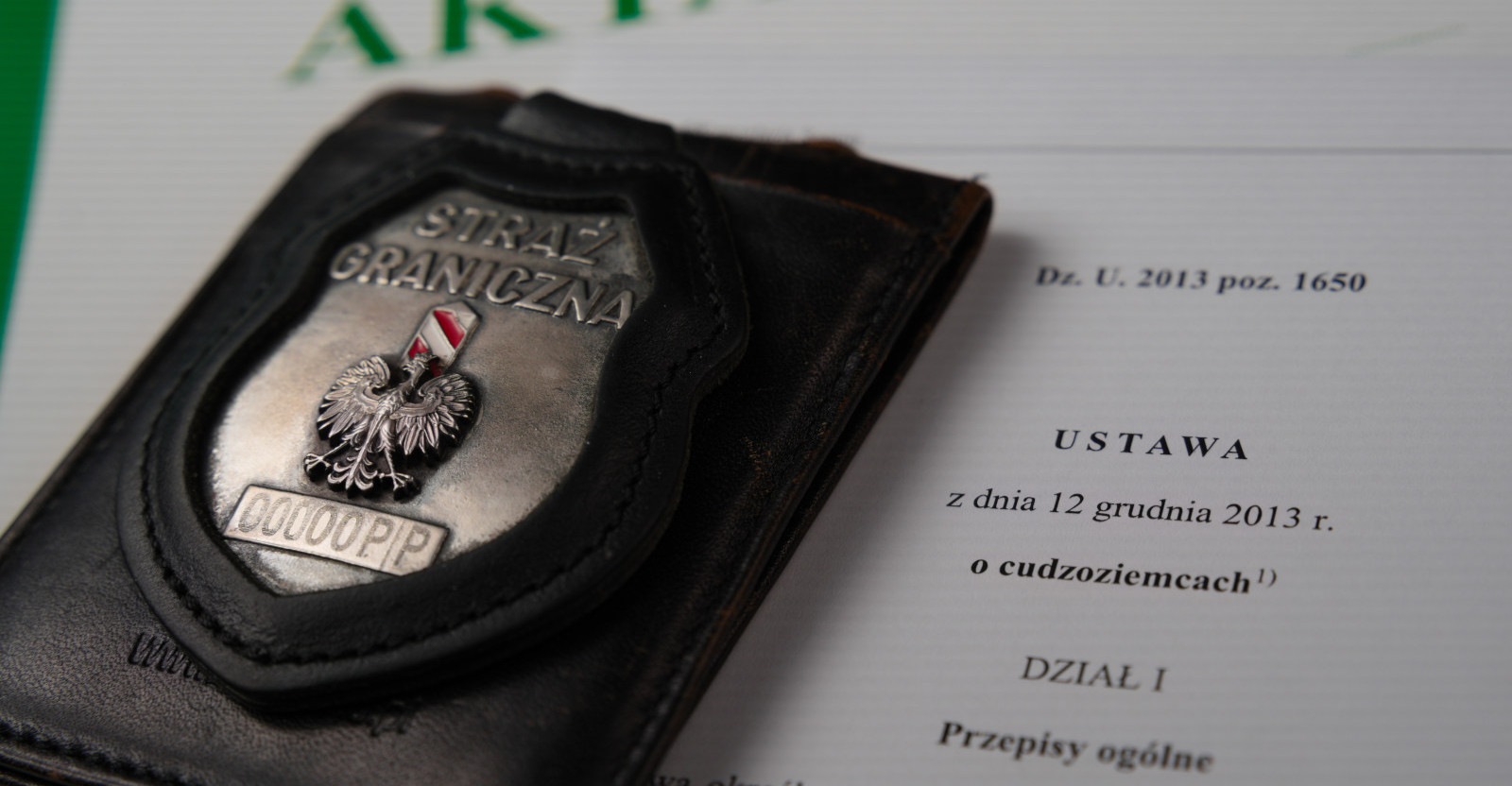 Wzmożone kontrole legalności pobytu na Podkarpaciu. Ponad 30 cudzoziemców musi opuścić Polskę