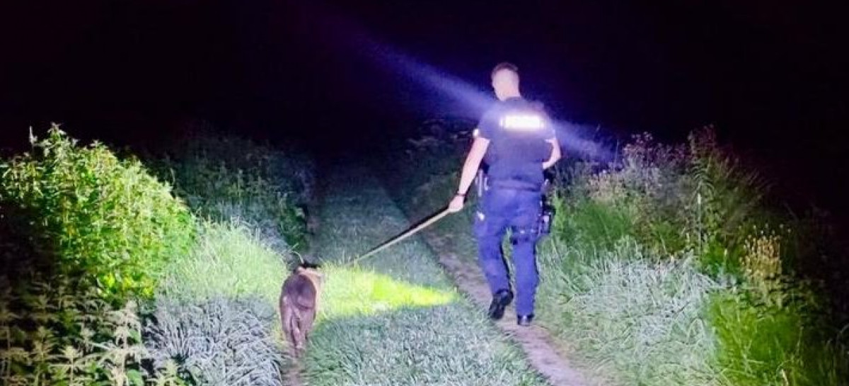 Saba skradziona, odnaleziona i … już bezpieczna w domu. Szybka i skuteczna akcja brzozowskich policjantów