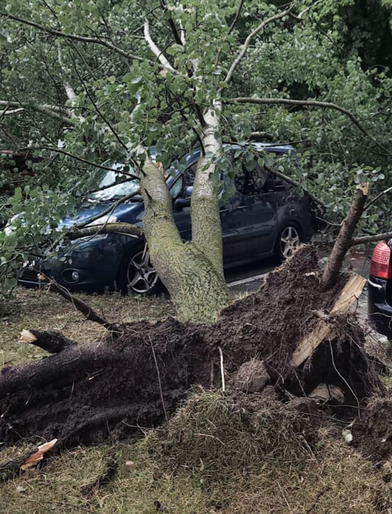 PODKARPACIE: Ponad 80 interwencji strażaków. Połamane drzewa i uszkodzone dachy [ZDJĘCIA]