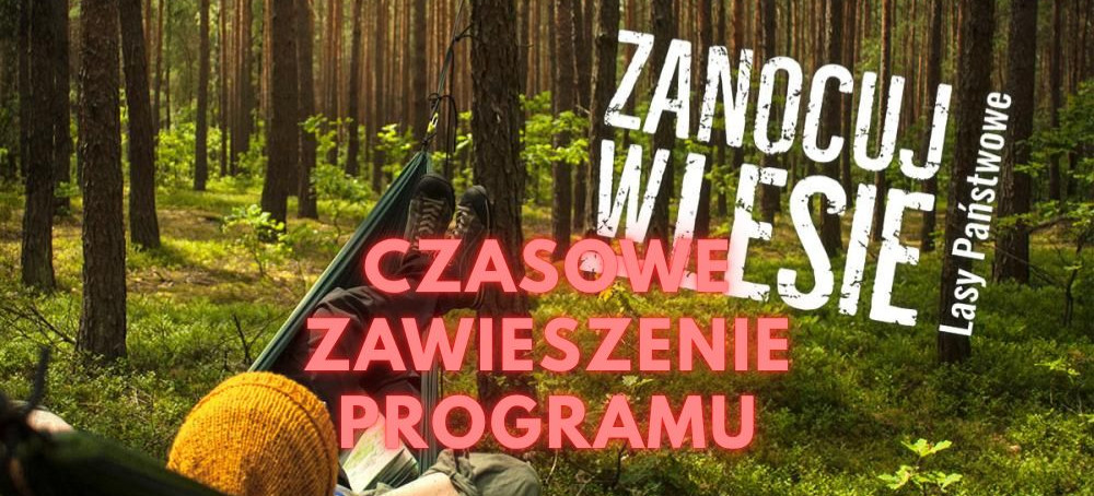 Nadleśnictwa Brzozów i Bircza zawiesiły program „Zanocuj w lesie”. Winne są niedźwiedzie
