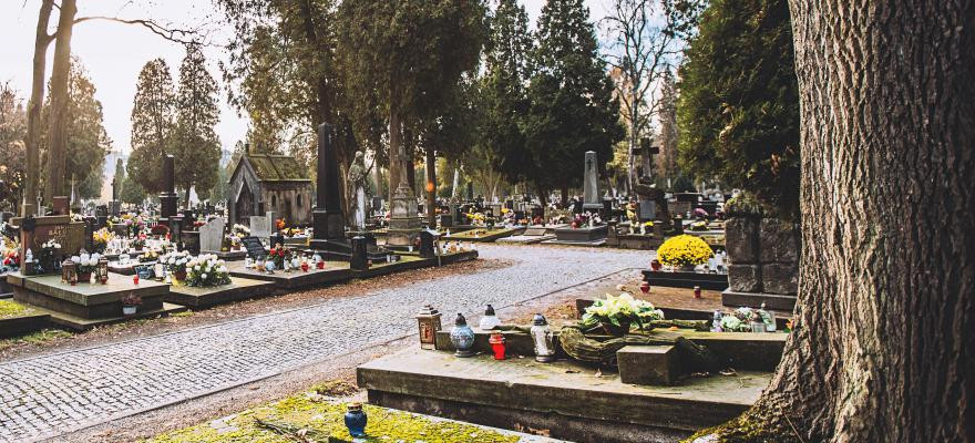 Wyszukiwarka osób pochowanych na Cmentarzu Komunalnym w Brzozowie. Pomoże odnaleźć grób bliskiej osoby