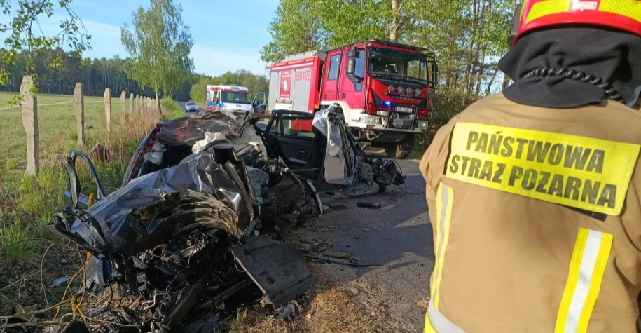 Uwaga na dzikie zwierzęta! Rosnące zagrożenie na polskich drogach