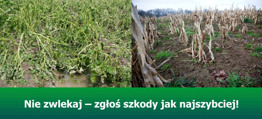 Informacja Podkaprackiego Oddziału Regionalnego ARiMR