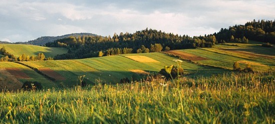 Artykuł sprawdzający 2