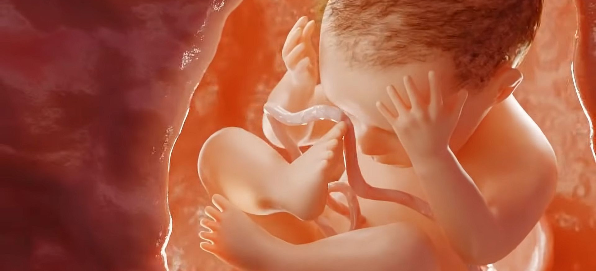 Aborcja nie jest synonimem nowoczesności! Film „Tętno” (VIDEO)