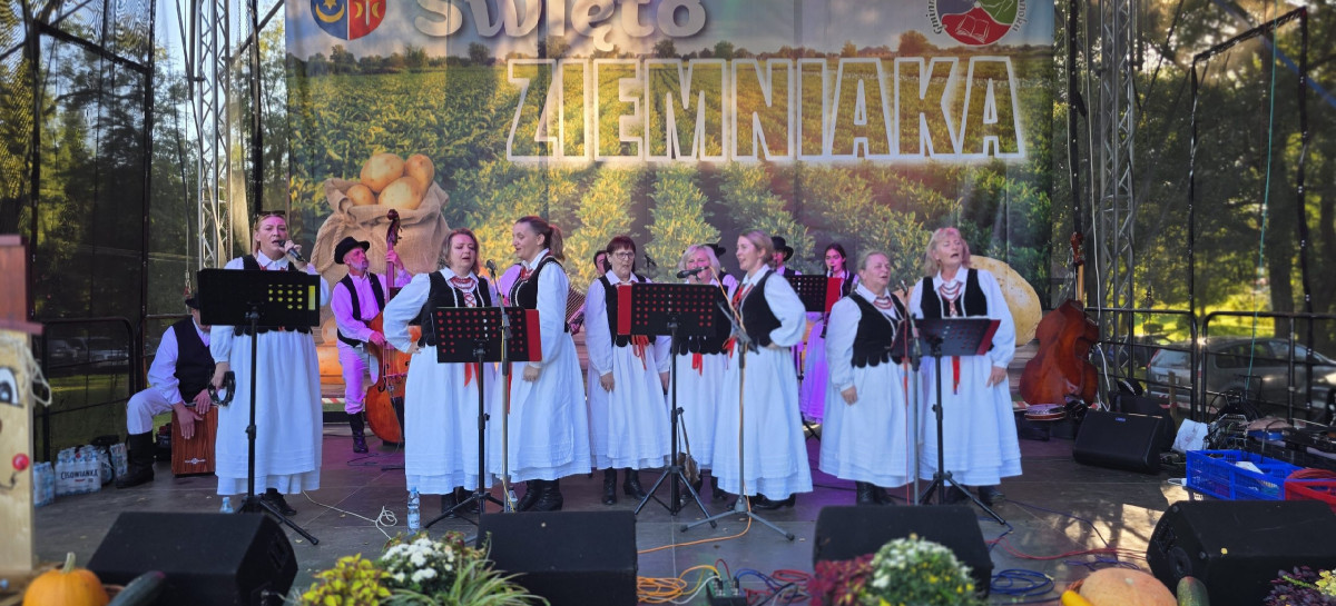 Falejówka świętowała Dzień Ziemniaka. Koncerty, gry i regionalne potrawy [VIDEO, ZDJĘCIA]