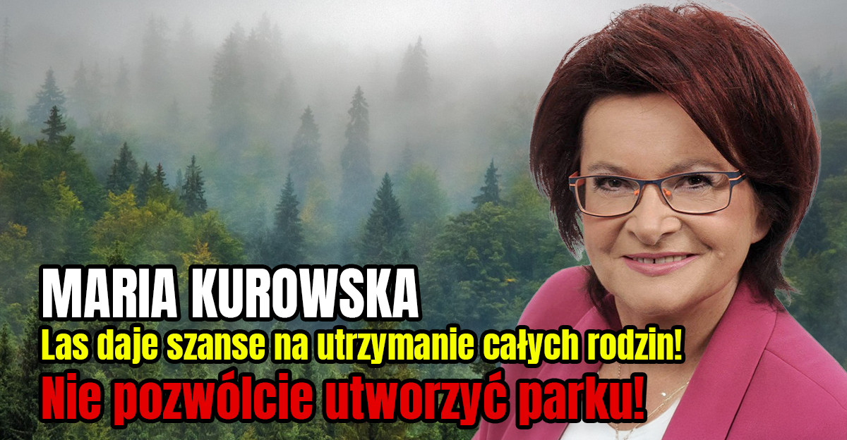 MARIA KUROWSKA: Las daje szanse na utrzymanie całych rodzin! (VIDEO)