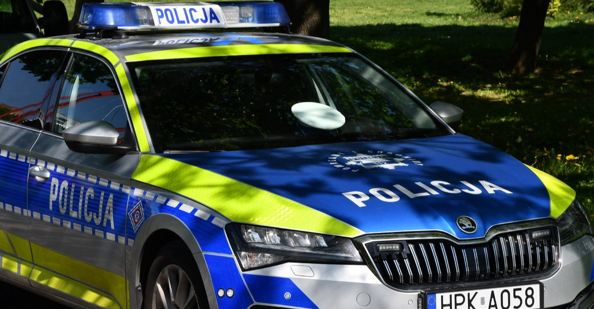 Jechał motocyklem na jednym kole. Stracił prawo jazdy [VIDEO]