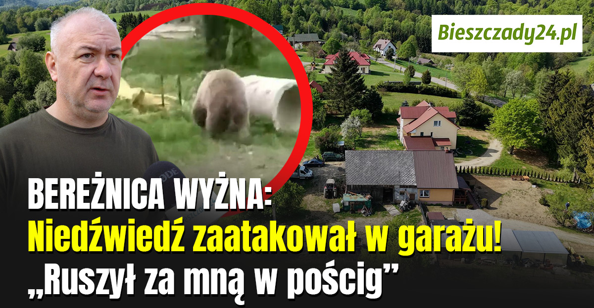 BEREŻNICA WYŻNA: Niedźwiedź zaatakował w garażu! „Ruszył za mną w pościg” [VIDEO]