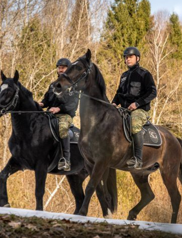 Nowe konie w służbie Bieszczadzkiego Oddziału Straży Granicznej. Cel Pal i R-Emil już patrolują granicę [VIDEO, ZDJĘCIA]