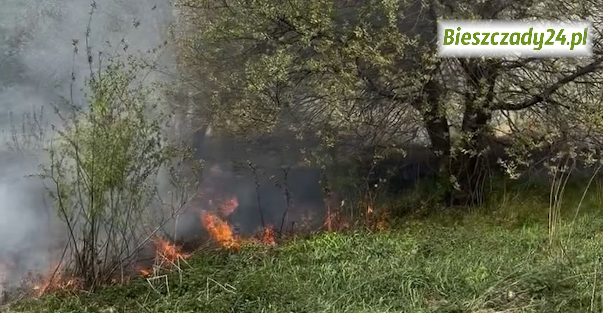 Groźny pożar przy obwodnicy Sanoka. Ogień szybko się rozprzestrzeniał [VIDEO, ZDJĘCIA]