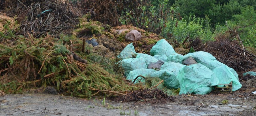 BRZOZÓW: Niewłaściwe gospodarowanie odpadami przez gminę. Kontrola dzikiego wysypiska (FOTO)