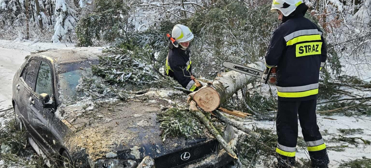 Silny wiatr w regionie. Drzewo runęło tuż na nadjeżdżający samochód w Targowiskach [VIDEO, ZDJĘCIA]