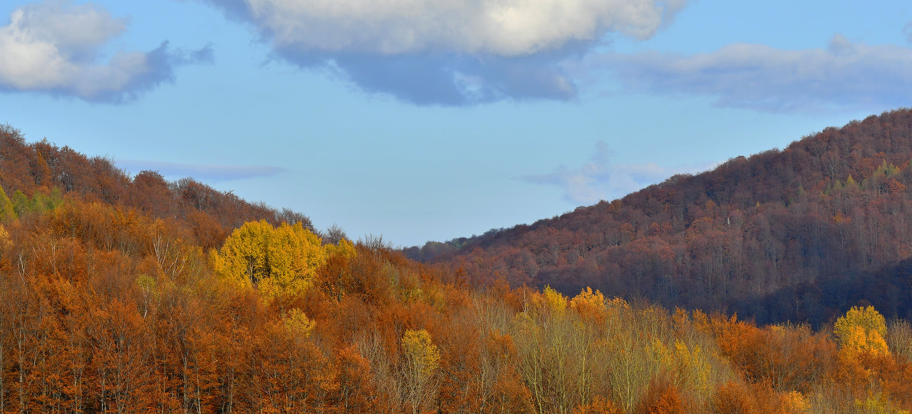 Bieszczadzka złota jesień schodzi w doliny (FOTO)