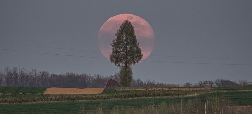 Niesamowite ujęcia wschodu księżyca pod Rzeszowem! (FOTO)