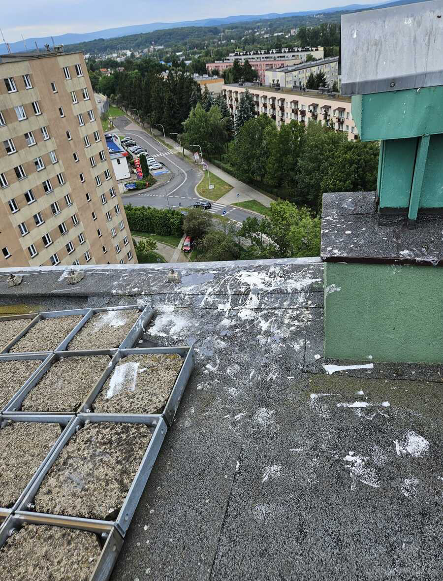 To miało być graffiti. Skończyło się policyjną interwencją na dachu