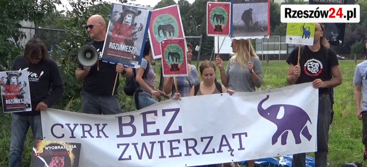 “Jesteśmy przeciwni cyrkom wykorzystującym zwierzęta” – pikieta przed występem Cyrku Zalewski (FILM)