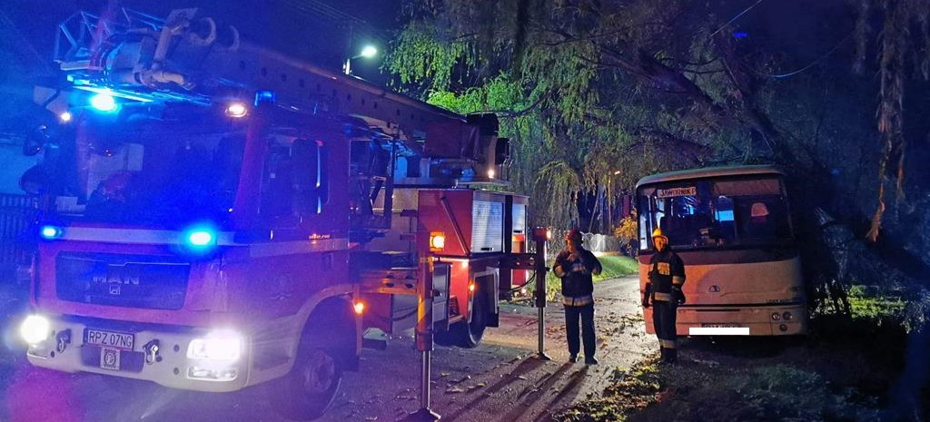 Drzewo spadło na autobus PKS Jarosław. Uszkodzona linia energetyczna