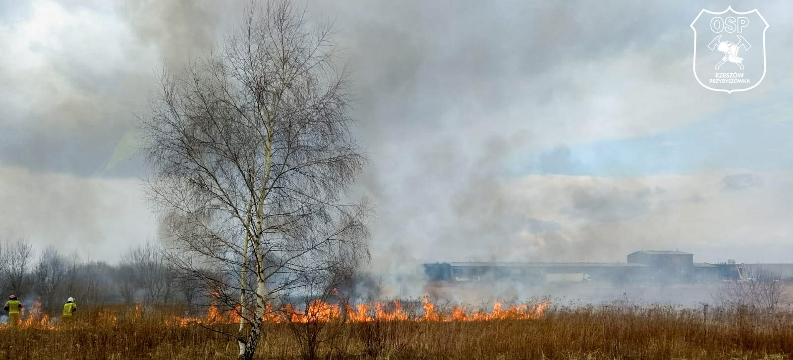 RZESZÓW. Pożar traw przy ul. Dworzysko! (ZDJĘCIA)