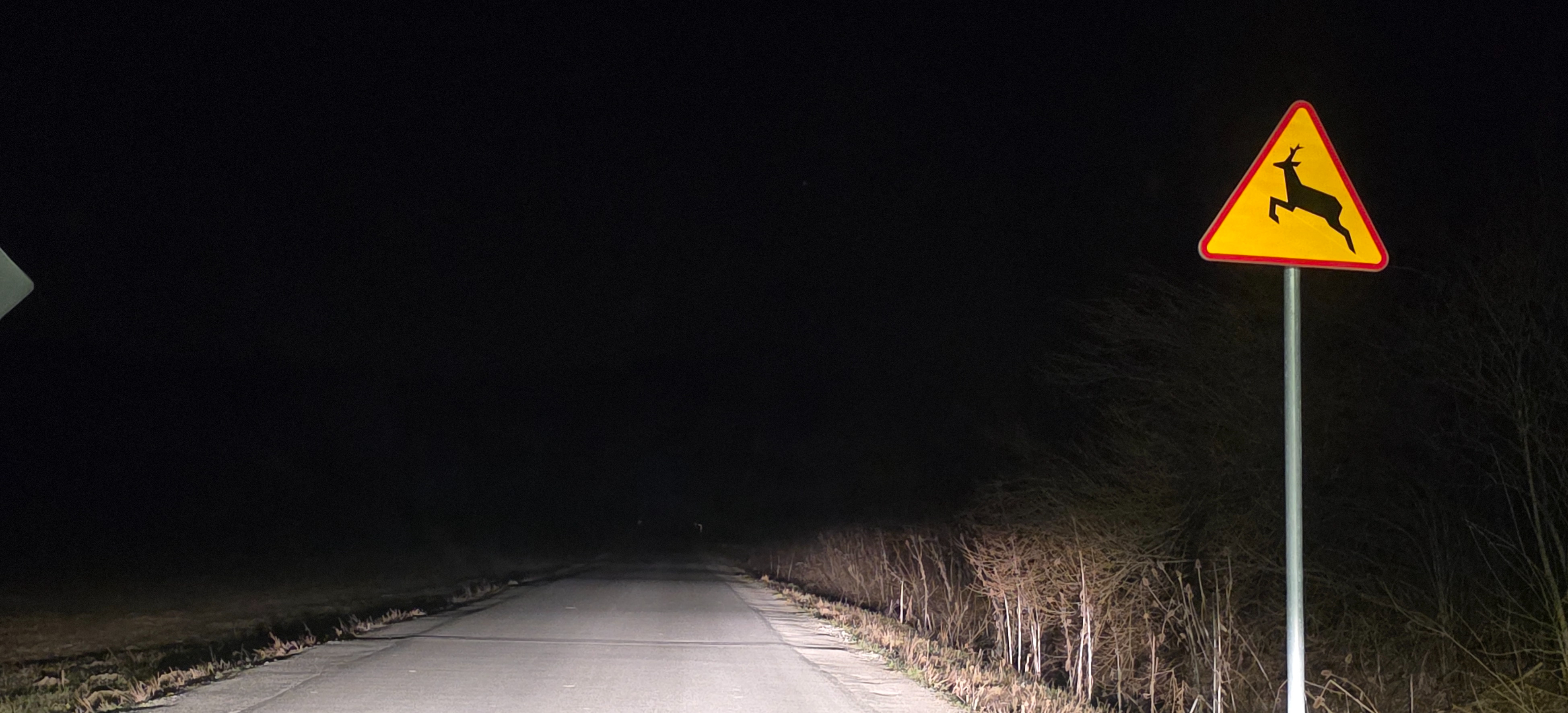 Uwaga kierowcy! Plaga zdarzeń z dziką zwierzyną w powiecie sanockim. Policja apeluje o rozwagę